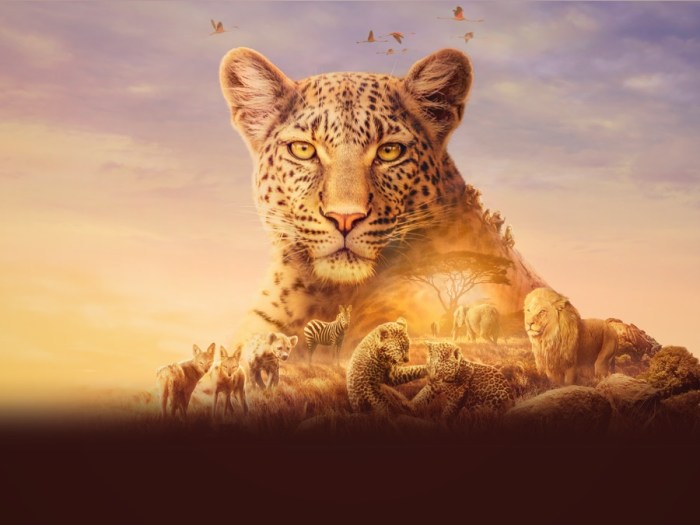 How to book a budget safari in the Serengeti and Ngorongoro Crater Serengeti talk to me