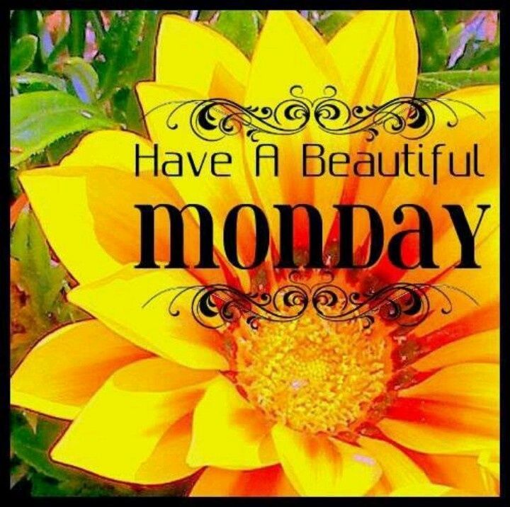 Monday Monday Morning Greetings, Happy Monday Morning, Happy Mondays ... Monday morning abacus remix