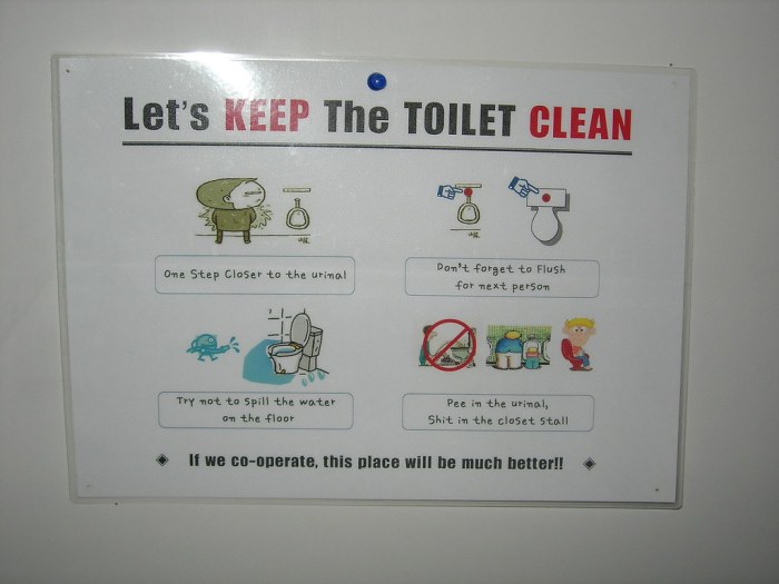 Keeping Clean | Instructions on how to use the toilet. Sign … | Flickr Clean Ears with Peroxide