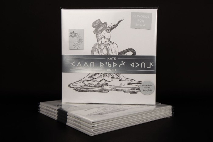 Fifty Words for Snow by Nancy Campbell | Waterstones 50 words for snow
