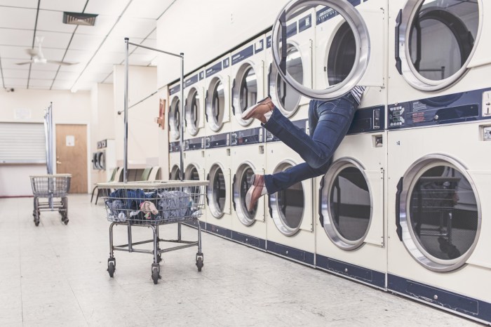 Free Images : people, woman, laundromat, interior design, art, funny ... Clean Hairbrushes and Combs