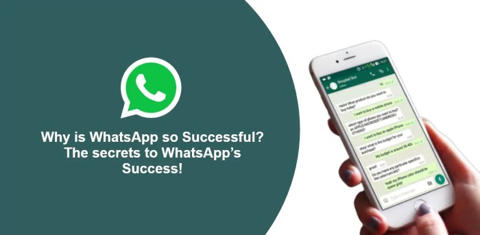Why Do People Use WhatsApp