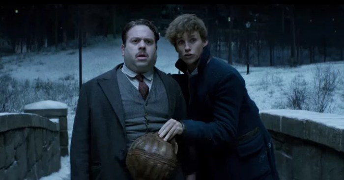Fantastic beasts find comic con trailer