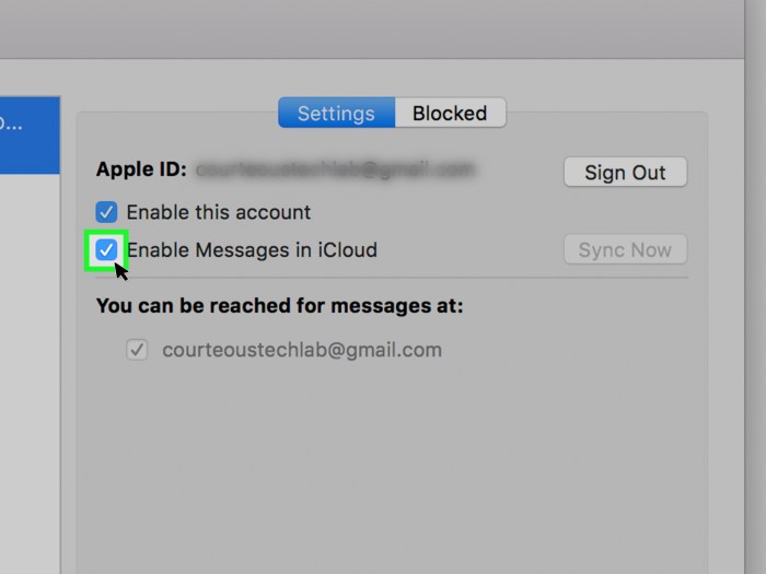 Access iMessage on iCloud Your Guide
