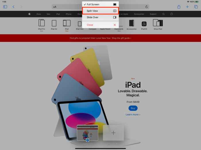 Enable and Disable Split Screen on an iPad