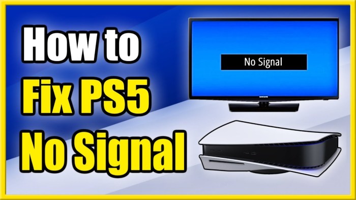 Ps5 Hdmi Not Working