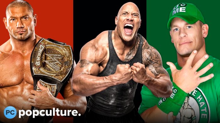 Rate my top 5 favorite WWE superstars : r/BrandonDE Wwe superstars pop cultue favorites