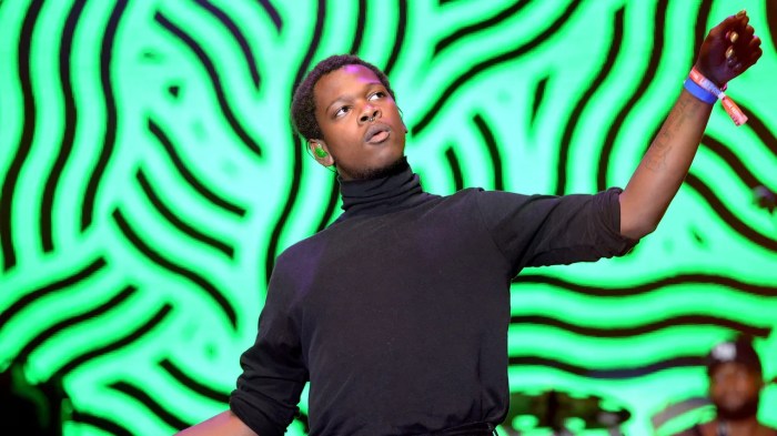 Shamir Bailey A Charmed and Charming Life