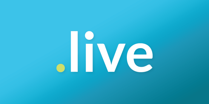 Live in a Village in Minecraft
