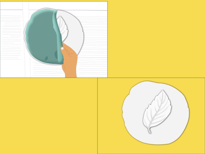 Make Fossils Using Plaster of Paris