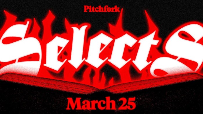 Skrillex jane remover sexyy red this week pitchfork selects playlist