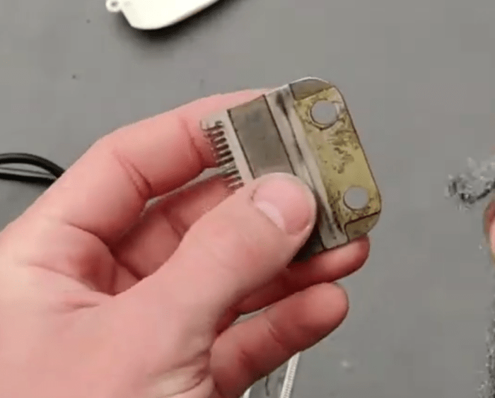 How to clean rusty hair clippers - (RUSTING Blade Fixed)