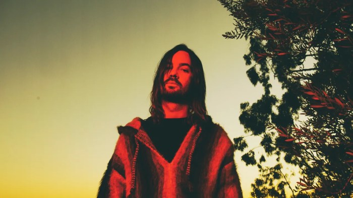 Tame Impala: Lonerism - 10th Anniversary Edition Vinyl 3LP Boxset ... Tame impala to headline desert daze with lonerism 10th anniversary set