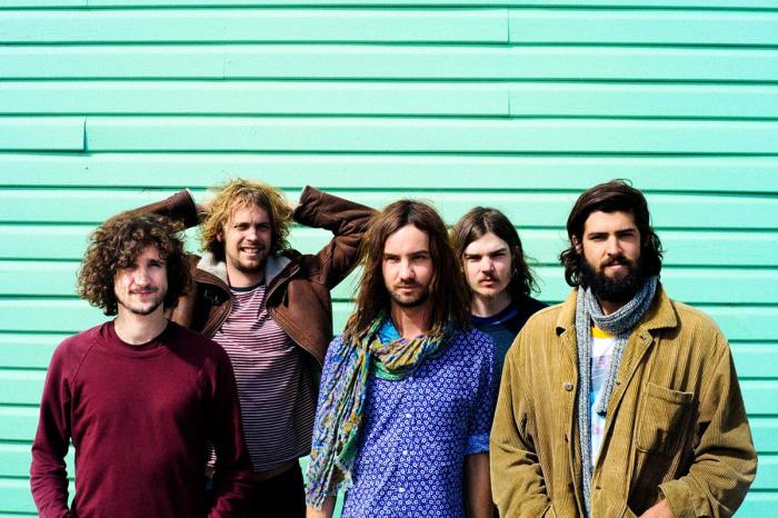 Wild and tame animals worksheet – Artofit Tame impala share new live acoustic version of on track watch