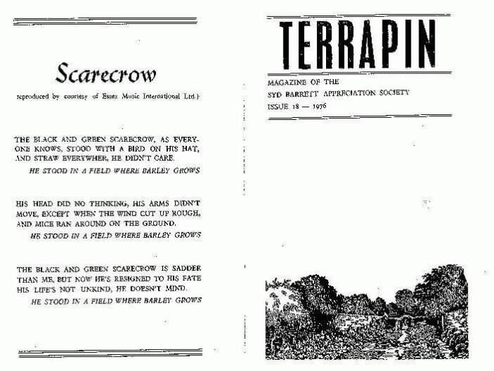 Field Music Terrapin Syd Barrett Cover A Deep Dive
