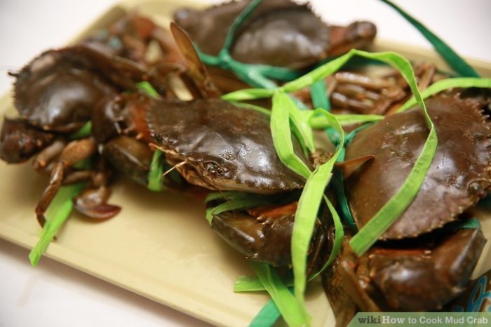 Cook Taba Ng Talangka