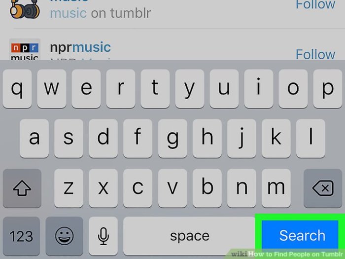 How to Find People on Tumblr: 12 Steps (with Pictures) - wikiHow Find People on Tumblr