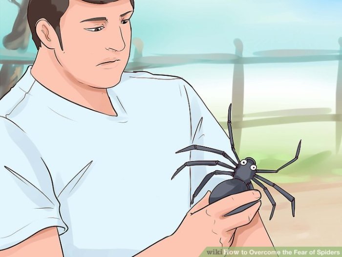 Overcome the Fear of Spiders A Guide