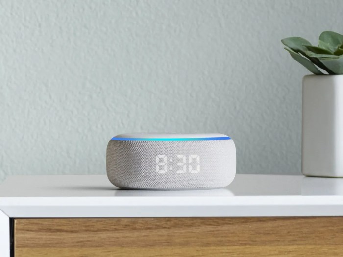 Stop Alarms with Alexa