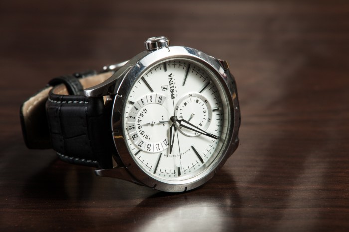 Analog Watch Free Stock Photo - Public Domain Pictures Watch animal collective perform floridada on colbert
