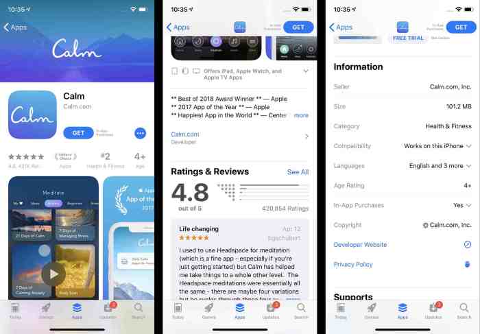 Use the iPhone App Store Your Mobile App Hub