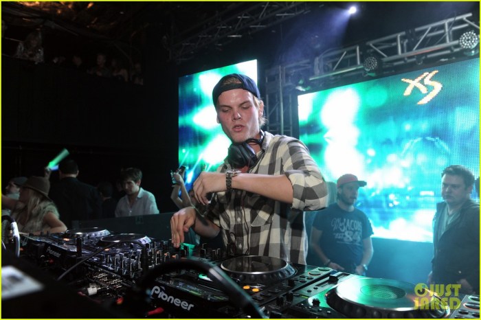 Three Dozen Fans Hospitalized at Avicii Concert Thirty six people hospitalized after avicii show in boston