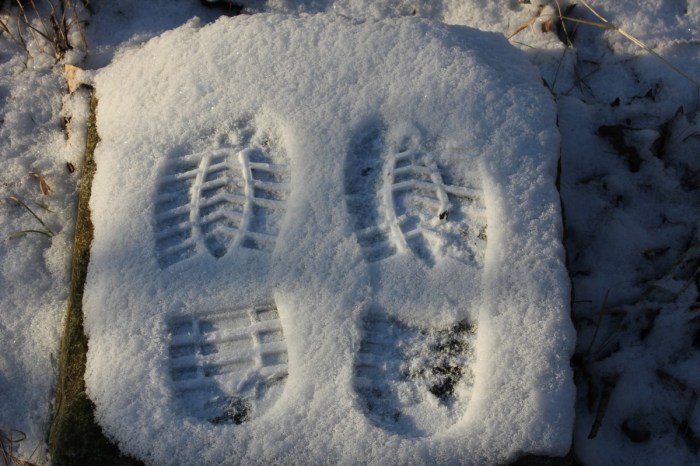 Frozen tracks 2 stock image. Image of track, line, winter - 18650523 Home blitz frozen track