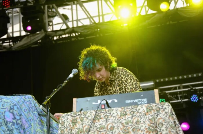 Youth Lagoon Attic Doctor A Curious Profession