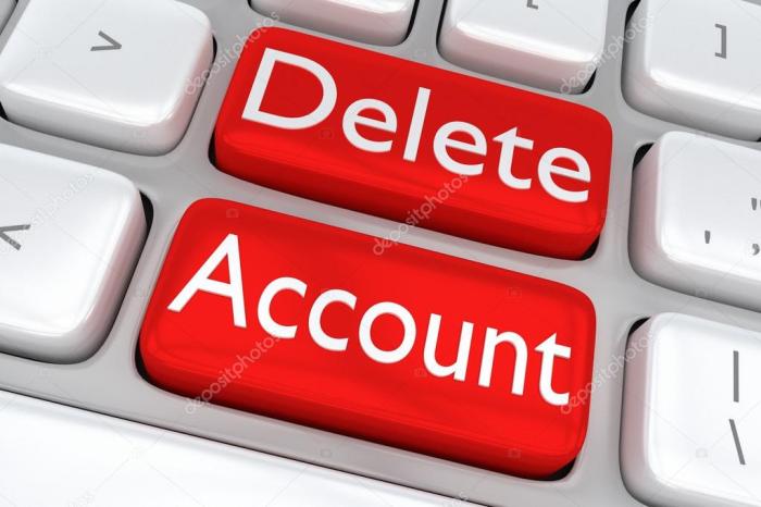 Law Reform Commission proposes a ‘right to be deleted’ - iTnews Delete a Script in Tampermonkey
