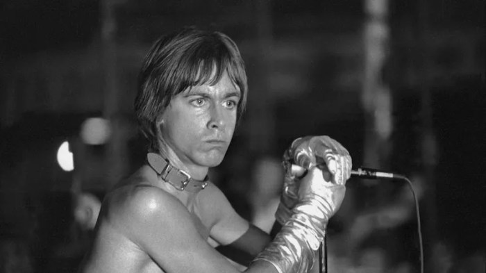 Iggy and the Stooges - Albums, Songs, and News | Pitchfork The stooges releasing album without iggy pop features guest vocalists ariel pink mark lanegan