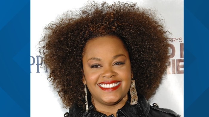 Jill scott announces rescheduled who is jill scott anniversary tour dates