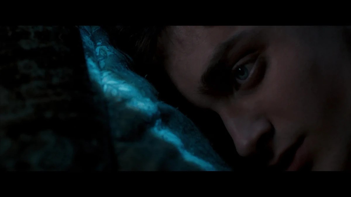 Muggle Eyes on Harry Potters Order