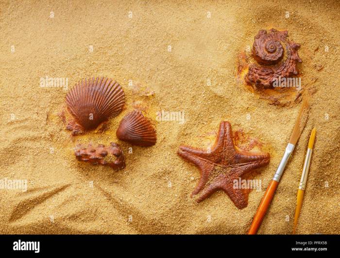 Make Fossils Using Plaster of Paris