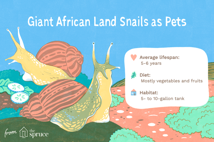 Care for Giant African Land Snails A Comprehensive Guide