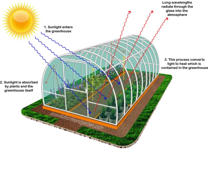 How Does a Greenhouse Work?  A Deep Dive