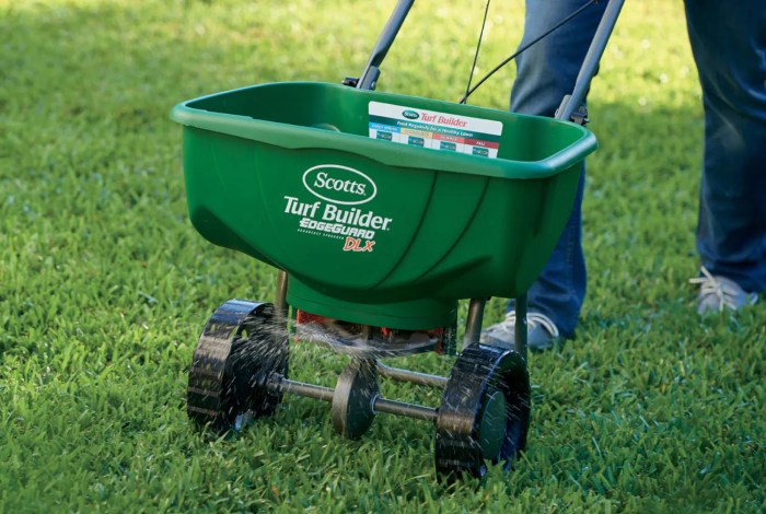 When and How to Plant St. Augustine Grass for a Lush Lawn | HappySprout Plant a St Augustine Sod