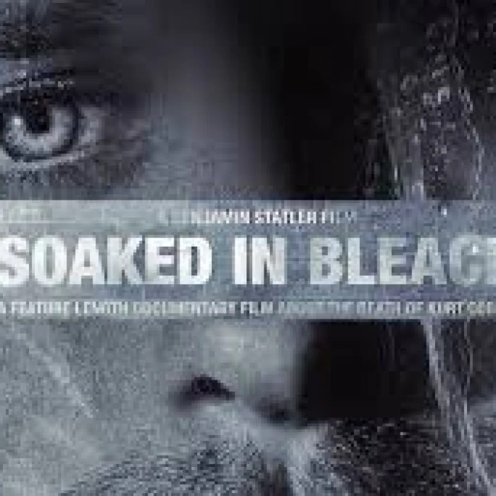 Courtney Love Filed Cease And Desist Against Theaters Showing ... Courtney love sends cease and desist to kurt cobain documentary soaked in bleach