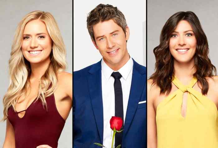 Arie From The Bachelor Mean Billboards, Becca Breakup Bachelor finale breakup arie