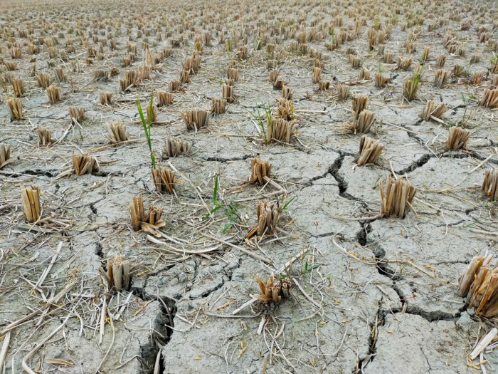 Farm4Trade Suite Prepare for a Drought