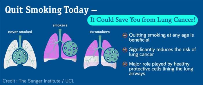 Smokers Lungs After Quitting Smoking Clear Your Lungs After Quitting Smoking
