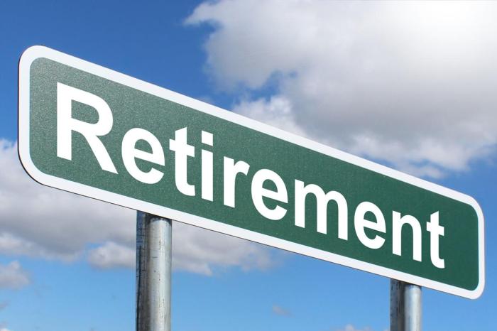 Retirement Party Runaway Dog A Guide