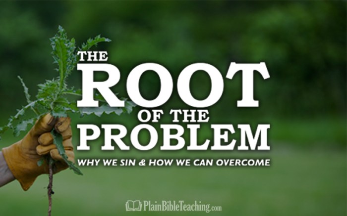 The Root of the Problem (Part 6): Rebellion - Plain Bible Teaching Why greys anatomy fans will love station 19