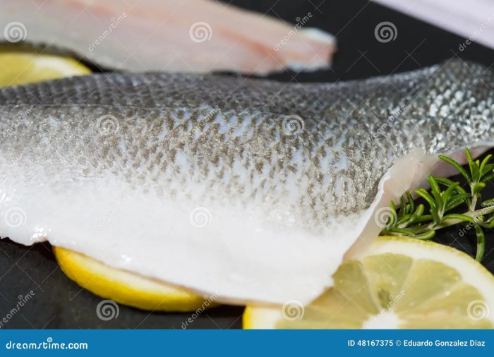 Fillet a Sea Bass