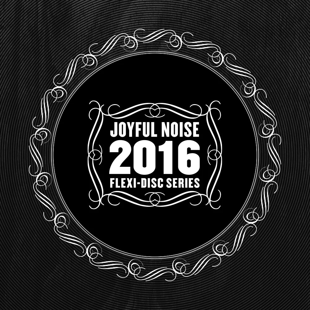 2013 Joyful Noise Flexi-Disc Series Limited Box Set (2013, Flexi-disc ... Cloud nothings deerhoof lee ranaldo protomartyr of montreals barnes set for joyful noise flexi series