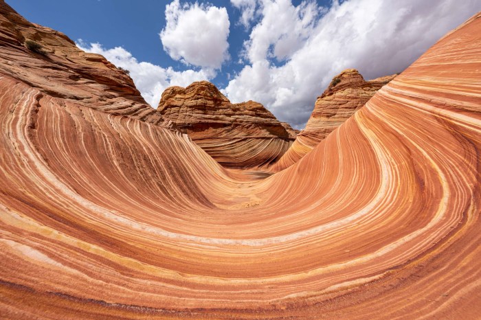 Was I the Wave? A Deep Dive