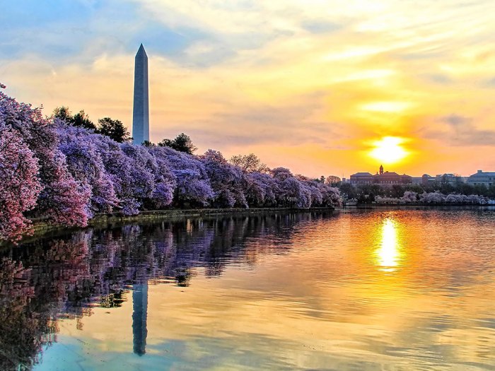 Various Songs Live in Washington DC A Guide