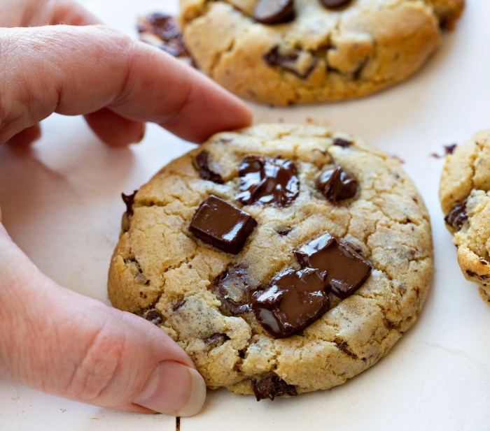 Homemade Chocolate Chip Cookies Recipe Make Chocolate Chip Cookies