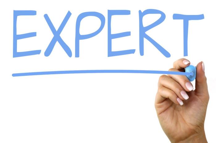 Expert Choose Wood to Build a Shed