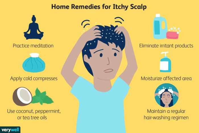 Itchy Scalp Solutions: A Comprehensive Guide to the Top 10 Causes and ... Make Your Scalp Stop Itching