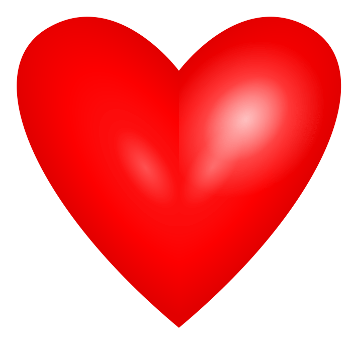 Heart of stone raveonettes cover